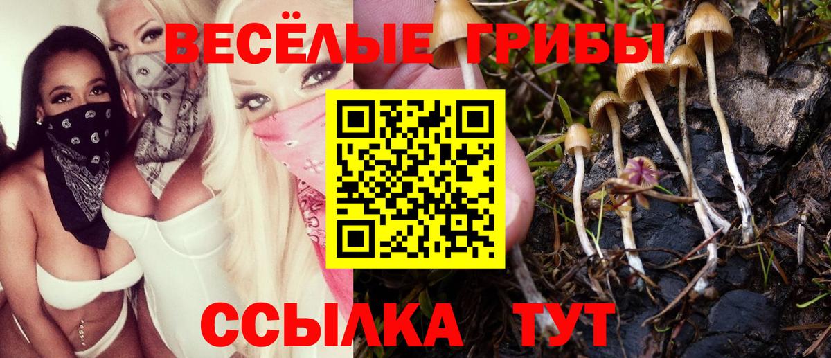 Ялта  Псилоцибиновые грибы прущие грибы  Вход с VPN 