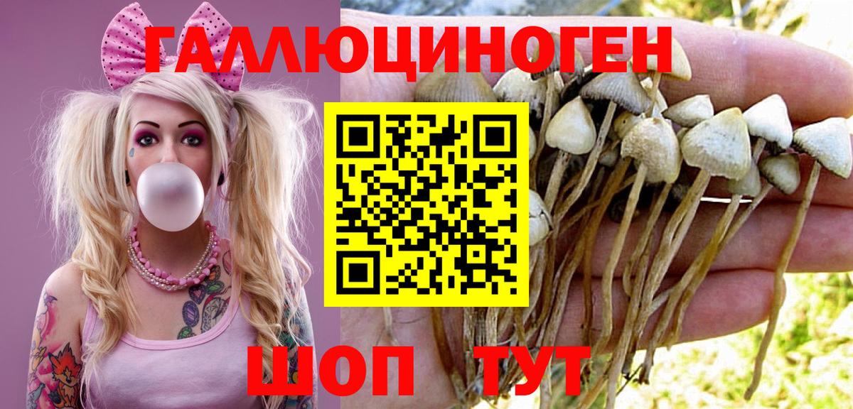 Галлюциногенные грибы Psilocybe Ялта
